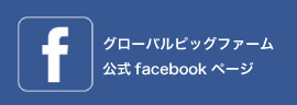 グローバルピッグファーム公式facebook